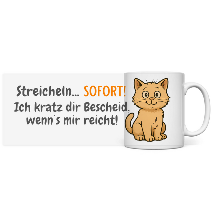 Katzenpersonal-Grundausstattung